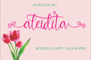 Aleidita: The Modern Script Font for Consistent Brand Identity
