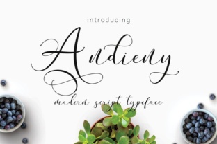 Andieny: Elevating Editorial Design with Modern Script Typography
