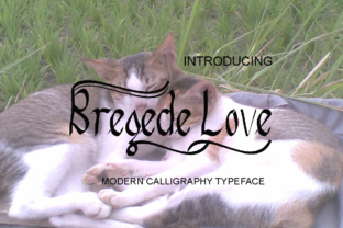 Bregede Love: A Modern Script Font for Handmade Branding