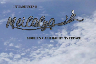 Meilalya: The Script Typeface That Transformed My Small Business Brand