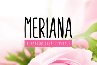 Meriana Typeface: Elevate Campaign Visuals With Handwritten Elegance