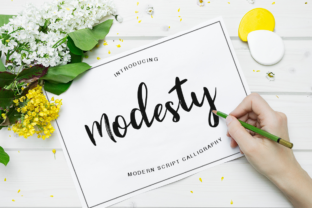 Modesty: The Script Font That Elevates Small Business Branding