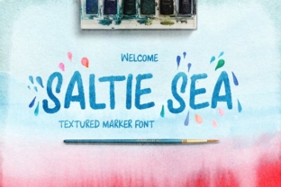 Saltie Sea Typeface Review: A Handcrafted Script for Digital Brands