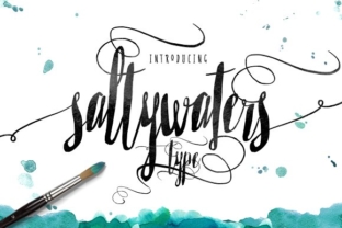 Saltywaters: A Handcrafted Script Font for Modern Web Design