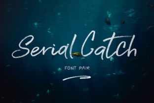 Serial Catch Typeface: Elevate Your Brand Identity