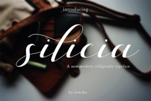 Silicia Script Font: Elevating Digital Brand Identity