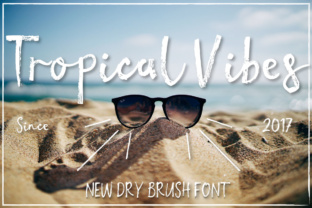 Tropical Vibes: A Designer’s Review for Real-World Branding