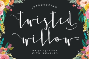 Twisted Willow Typeface: Elevating Digital Brand Identity
