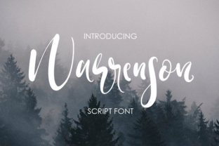 Warrenson: A Designer’s Honest Take on This Script Amp