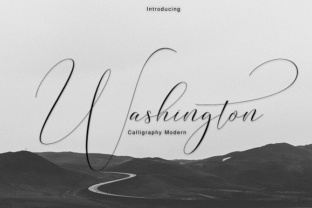 Washington Typeface: A Premium Script Font for Polished Brand Identity